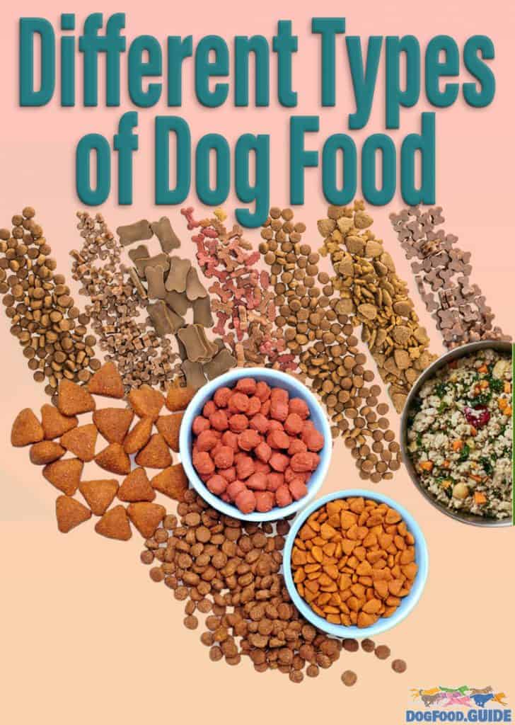Different Types Of Dog Food