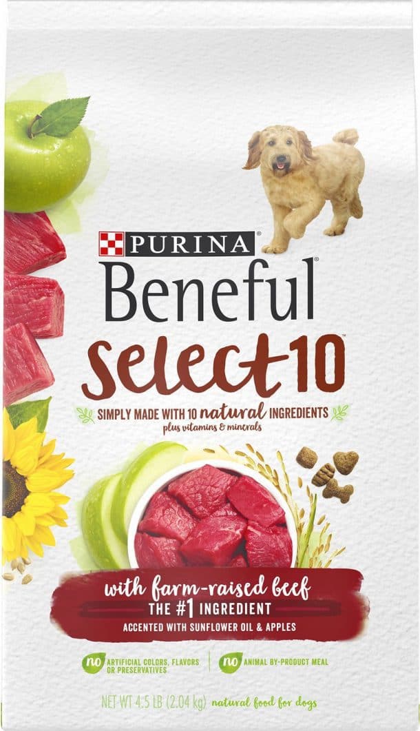 Beneful Dog Food Review 2022 Is It Safe for Pets to Eat?