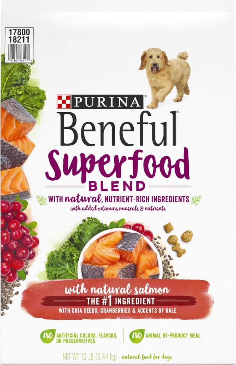Beneful Dog Food Review 2022 Is It Safe for Pets to Eat?
