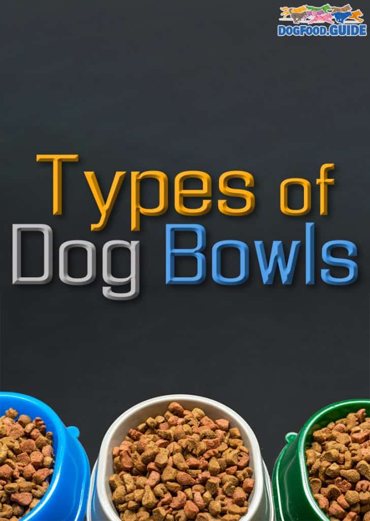 Types of Dog Bowls