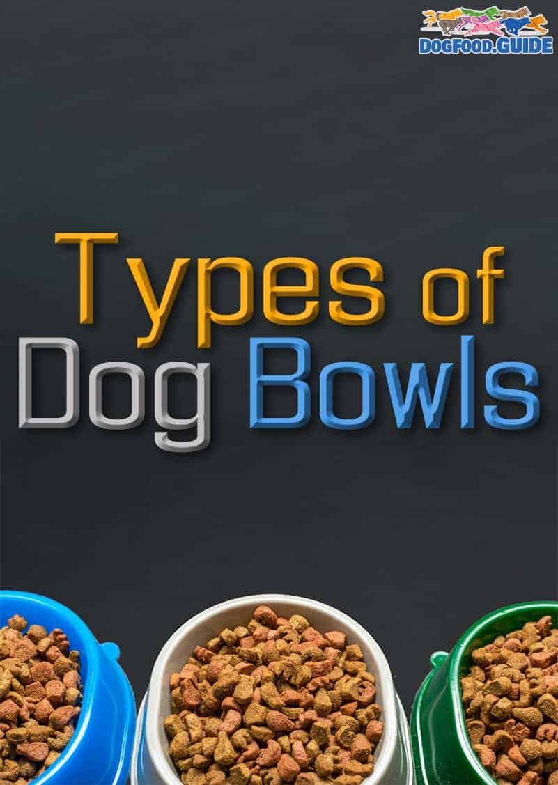 Types of Dog Bowls 7 Best Kinds Revealed!