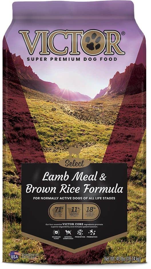 Victor Dog Food Reviews 2022 The Best Premium Dog Food?