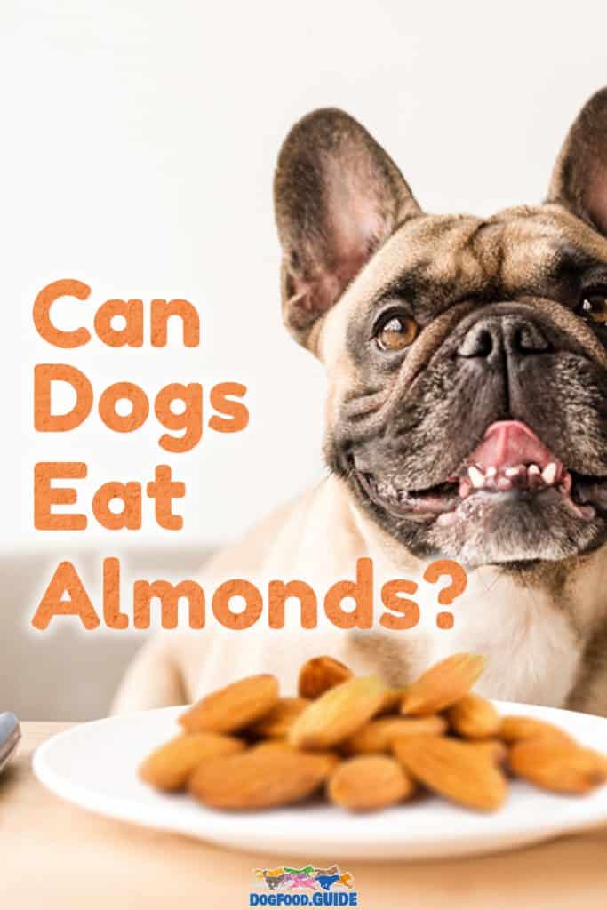 Can Dogs Eat Almonds