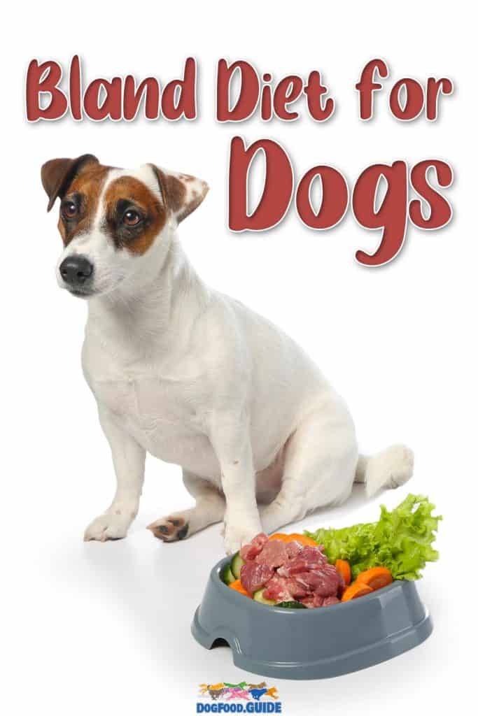 bland diet for dogs