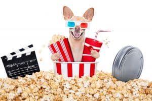 Can Dogs Eat Popcorn? 3 Major Possible Risks Revealed Here!