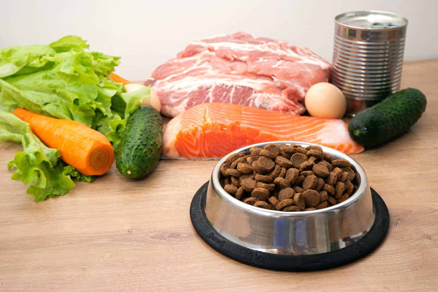 Bland Diet For Dogs 4 Accurate Things You Need to Consider!