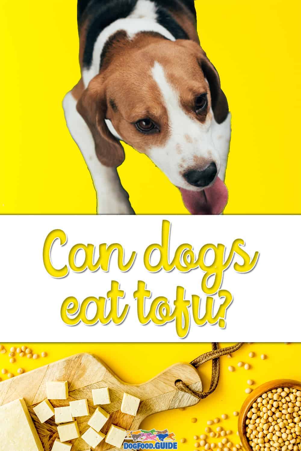 Can Dogs Eat Tofu? Pros & Cons + 3 Best Recipes Included!