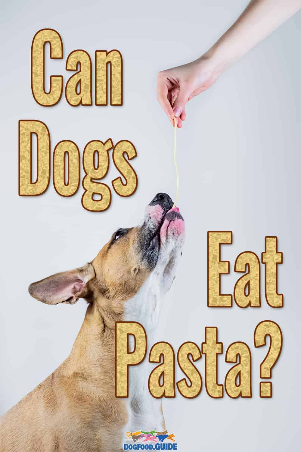 Can Dogs Eat Pasta? Is It Safe? The Ultimate 101 Guide Here!