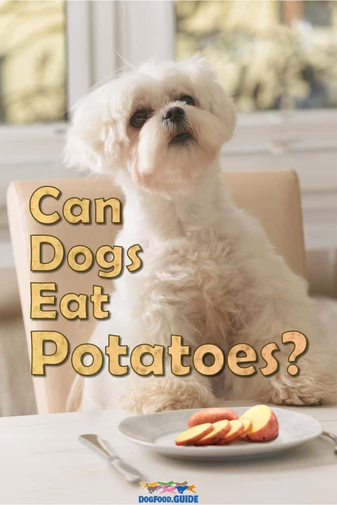 Can Dogs Eat Potatoes