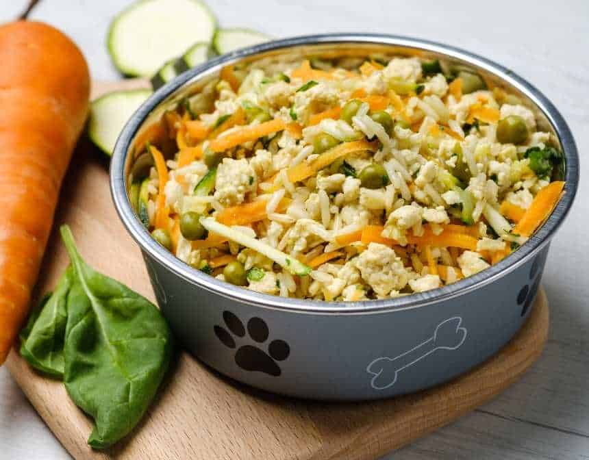 Homemade Dog Food with Vegetable