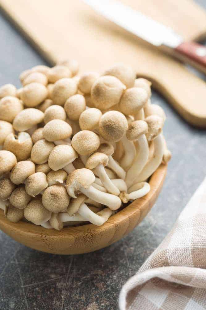 Can Dogs Eat Mushrooms? 7 Edible Mushrooms + 3 Best Recipes!