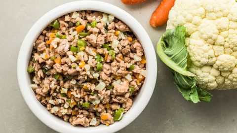 Turkey and Veggie Dog Food