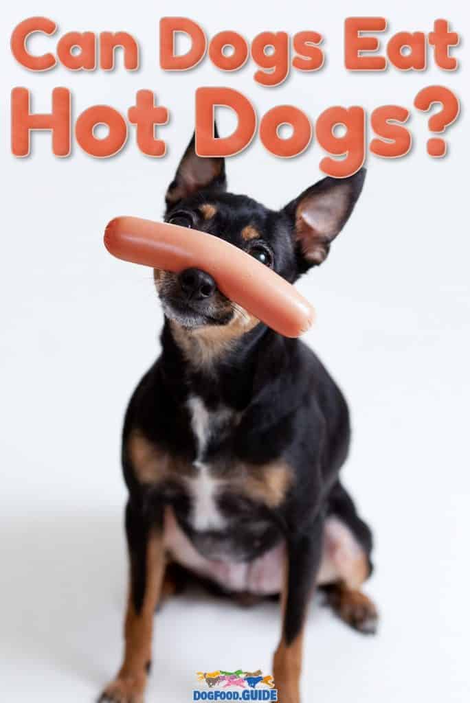 They’re Not Healthy, But They Sure Are Yummy, Can Dogs Eat Hot Dogs? 11 Can Dogs Eat Hot Dogs
