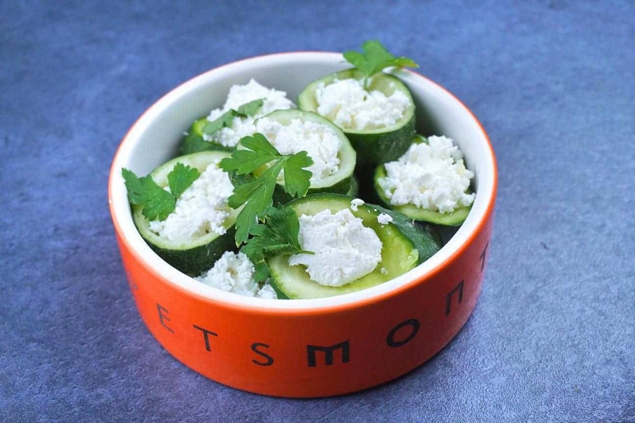 48 Can Dogs Eat Cucumbers Skin