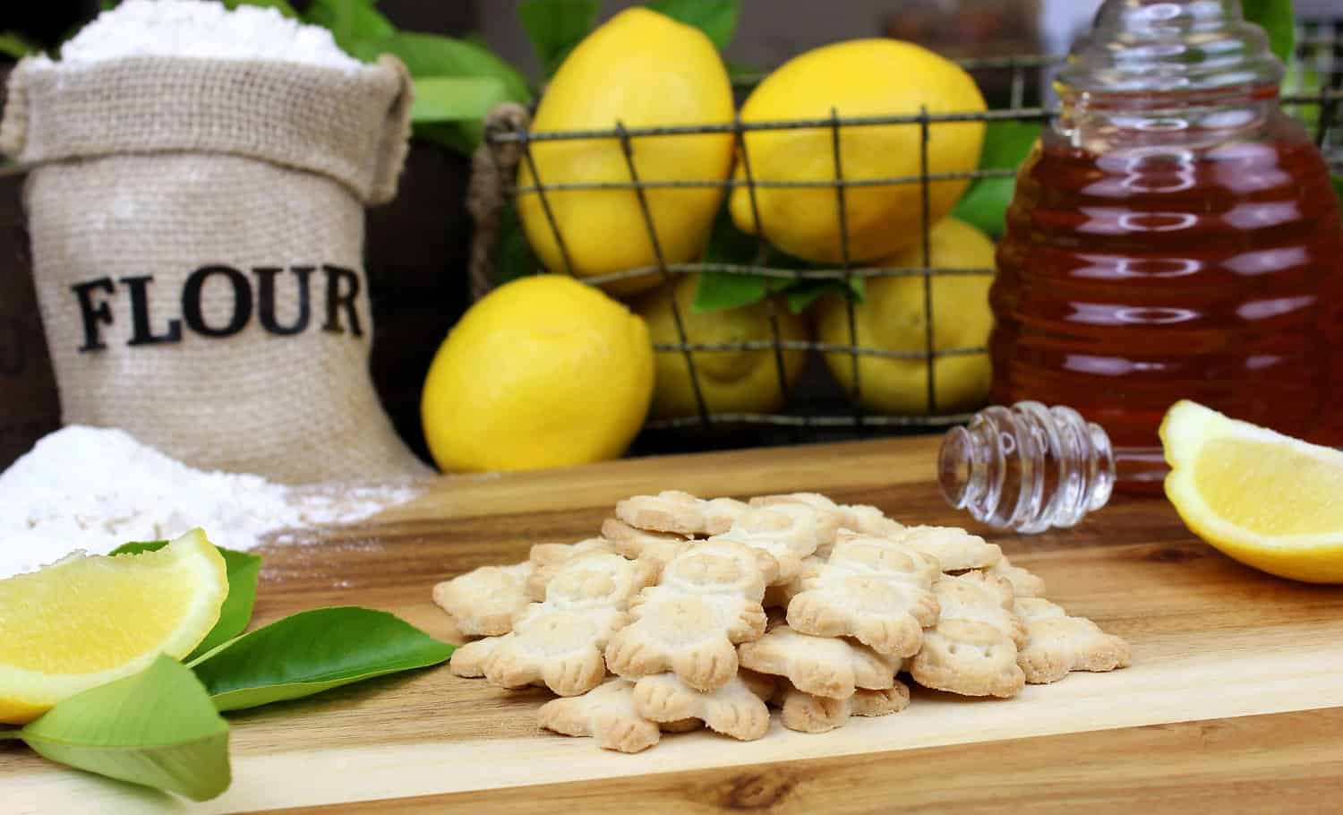 Grandma Lucy's Dog Food Review 2022 Best FreezeDried Food?