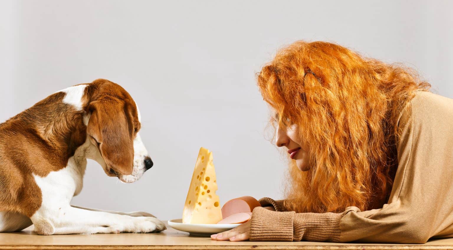 Can Dogs Eat Cheese? Know The Best 7 Types of Cheeses To Give
