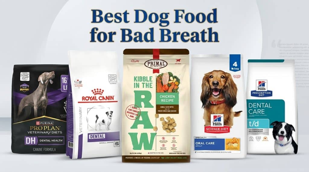 Best Dog Food for Bad Breath