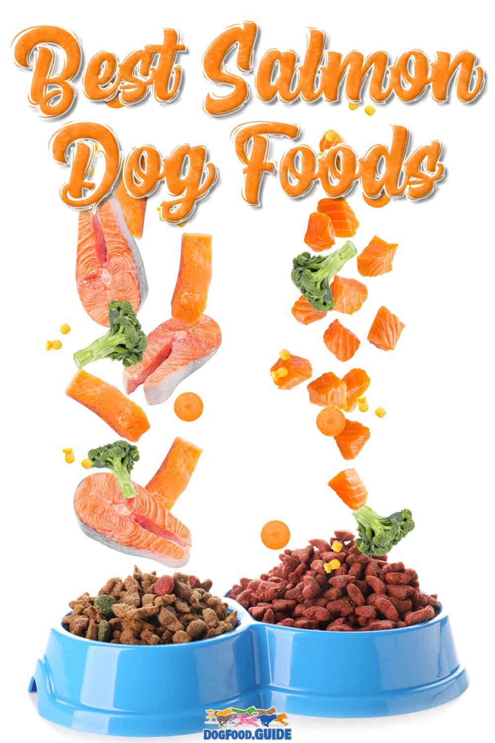 10 Best Salmon Dog Food Brands A Guide to a Healthy Dog Diet