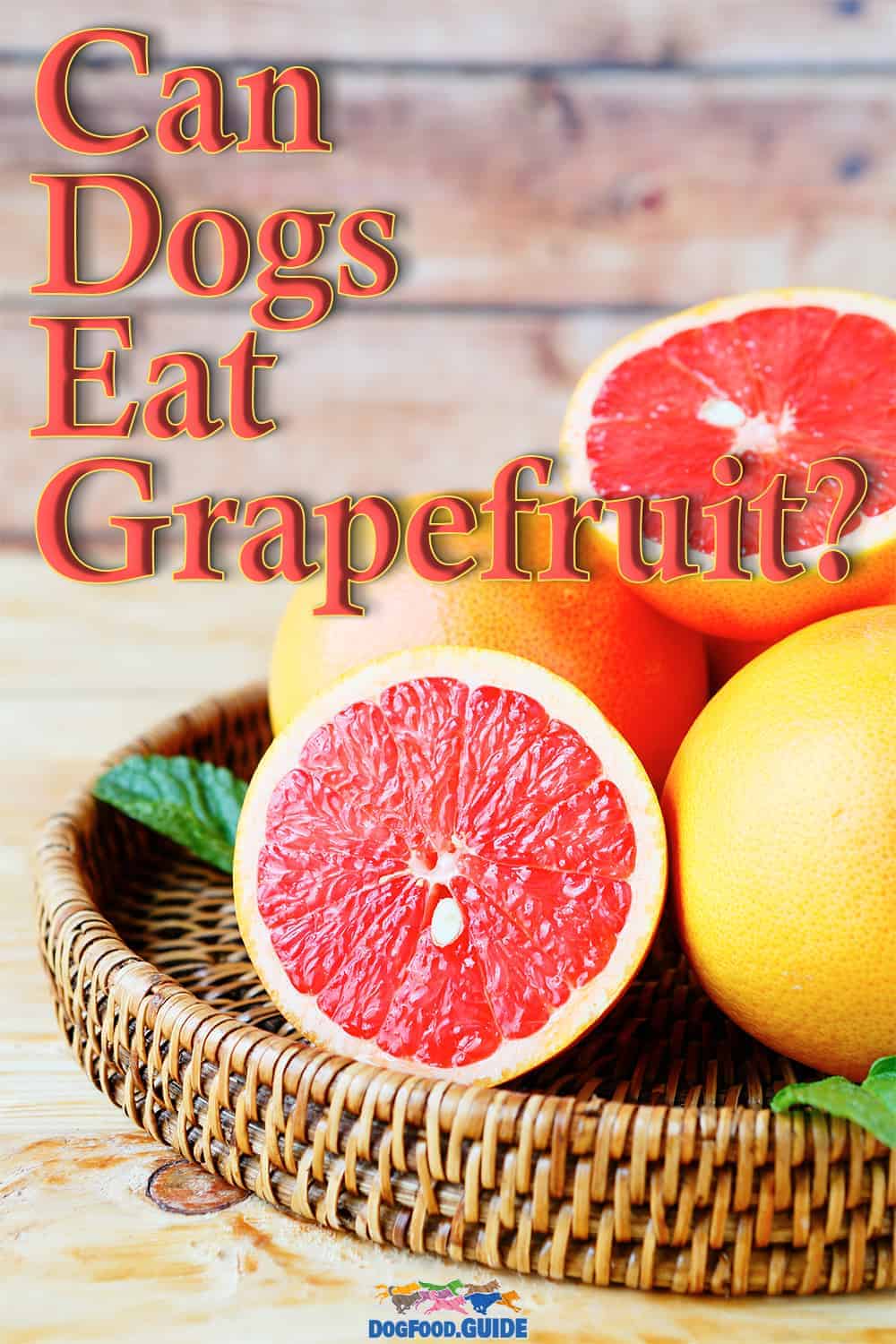 Can Dogs Eat Grapefruit? 4 Accurate Symptoms To Watch Out For!