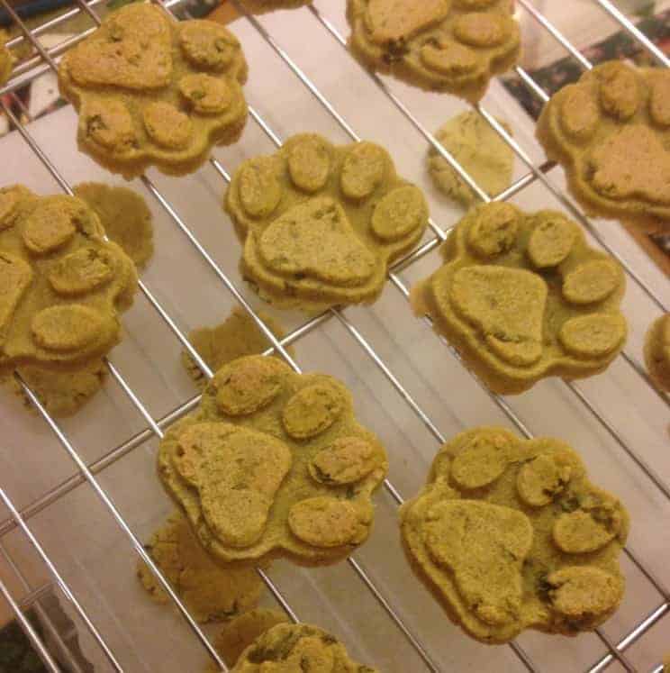 Can puppies eat baby food Clearance