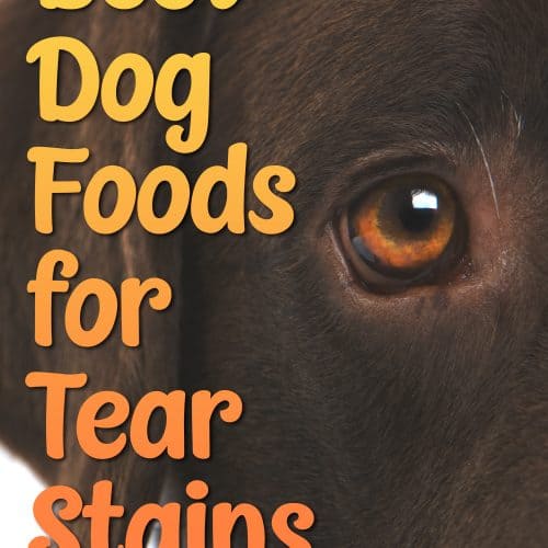 10 Worst & Best Dog Foods The Unbiased Reviews for 2022
