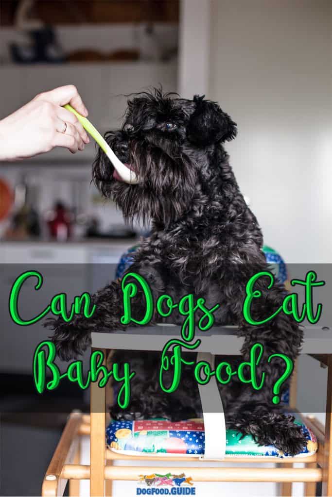 Can Dogs Eat Baby Food
