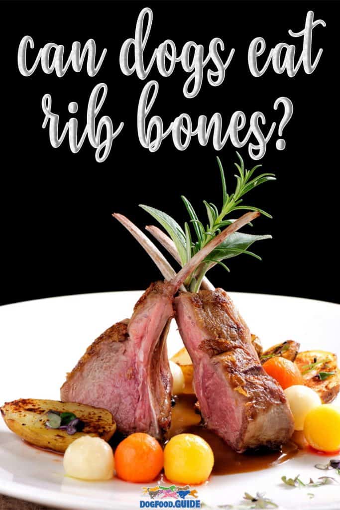 Can Dogs Eat Rib Bones