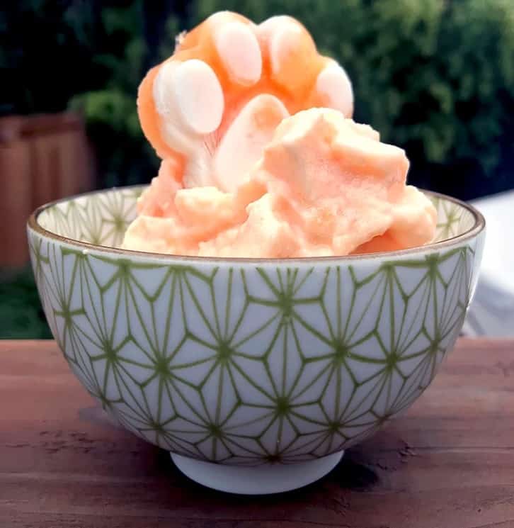 Doggy Cantaloupe Ice Cream: Beating The Heat In A Tasty Way 1