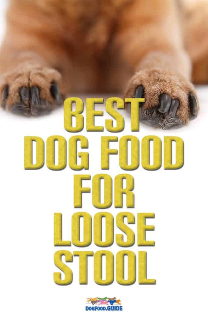 Best Dog Food For Loose Stool