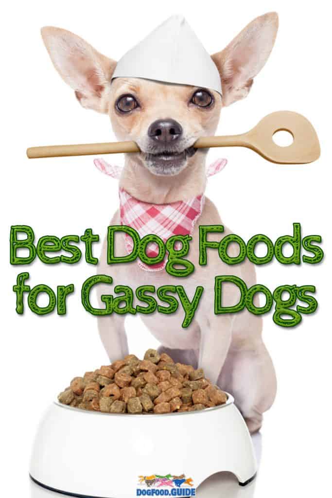 Best Dog Food For Gassy Dogs