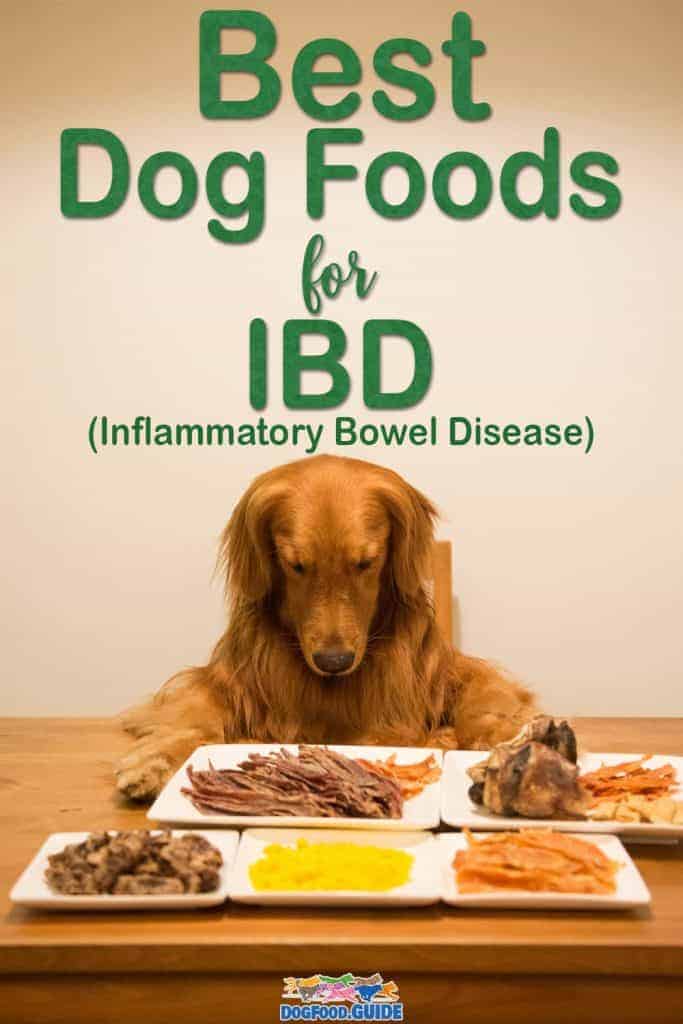 Best Dog Food For IBD