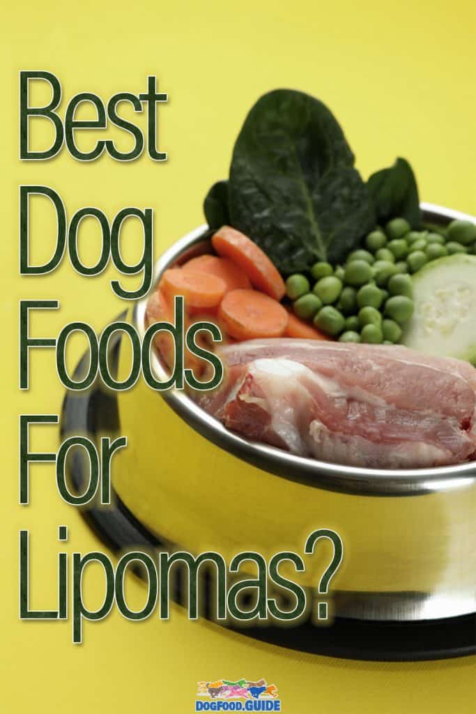 Best Dog Food For Lipomas