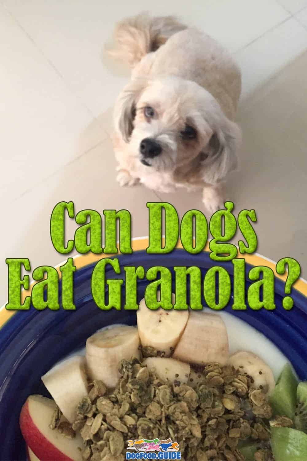 Can Dogs Eat Granola? 4 Best Health Benefits Discussed!