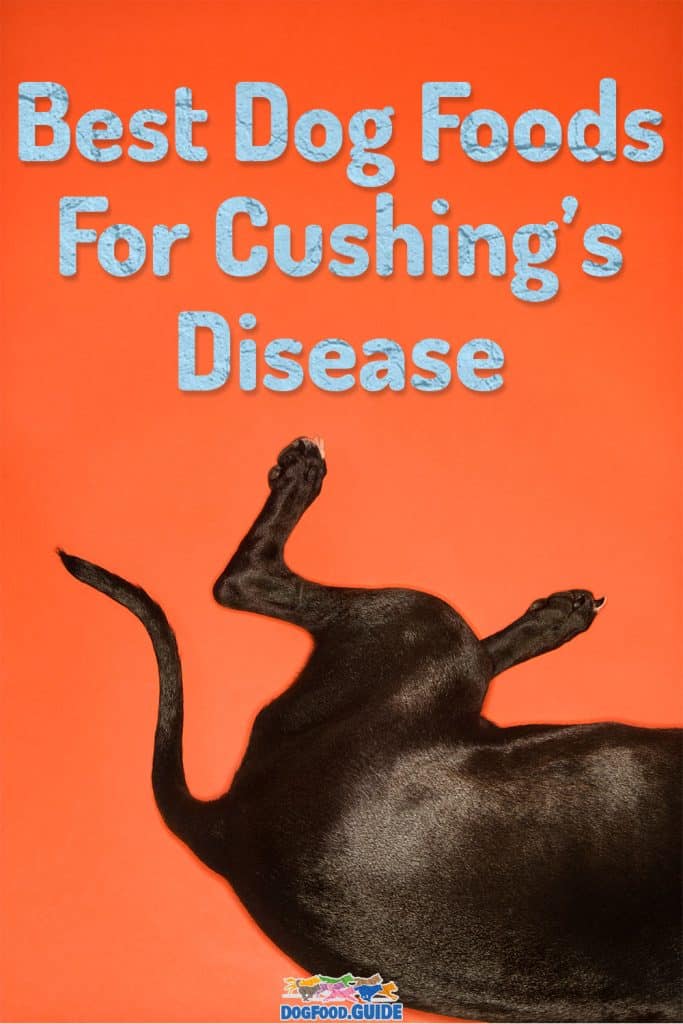 Best Dog Food For Cushing’s Disease