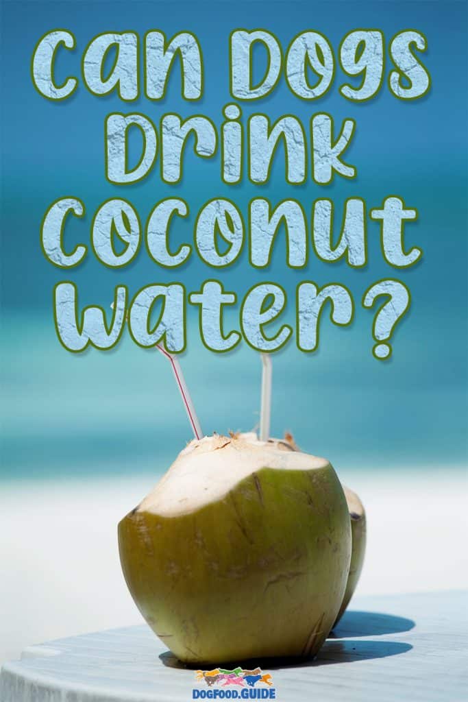 Can Dogs Drink Coconut Water