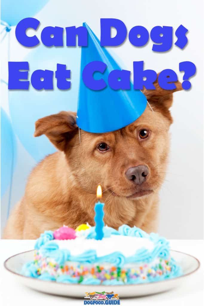 Can Dogs Eat Cake