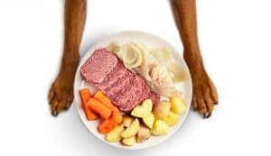 Can Dogs Eat Corned Beef? 6 Shocking Negative Effects Revealed!