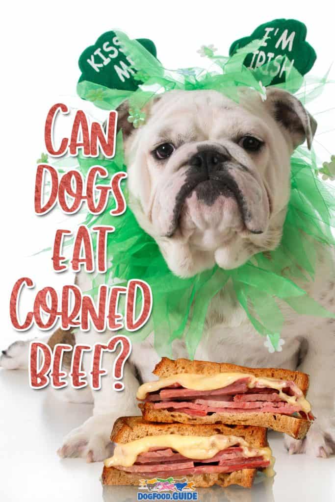 Can Dogs Eat Corned Beef