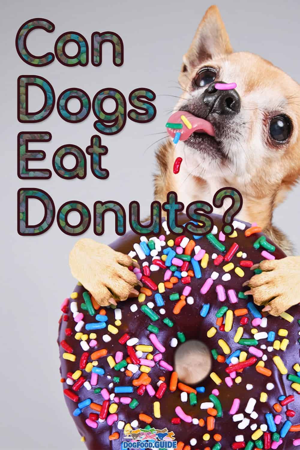 Can Dogs Eat Donuts? 9 Shocking Ingredients Discussed Here