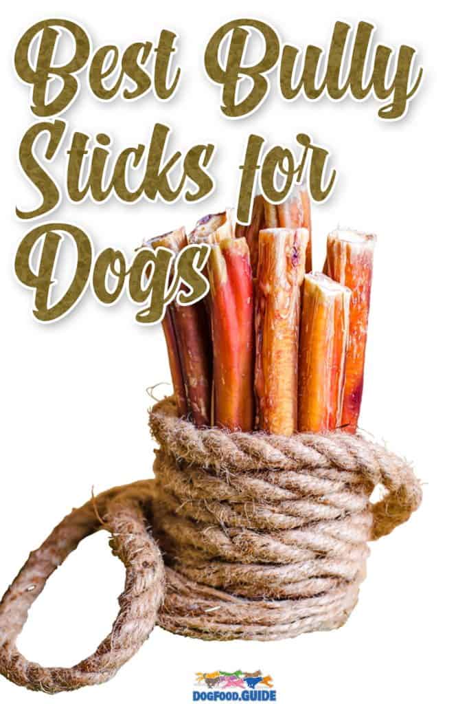 Best Bully Sticks For Dogs