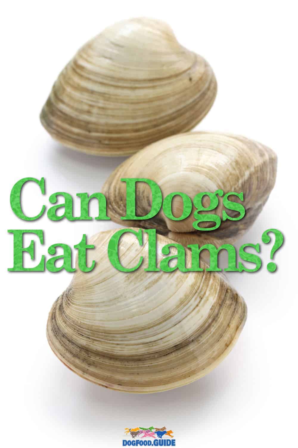 Can Dogs Eat Clams? 3 Shocking Negative Effects Revealed!