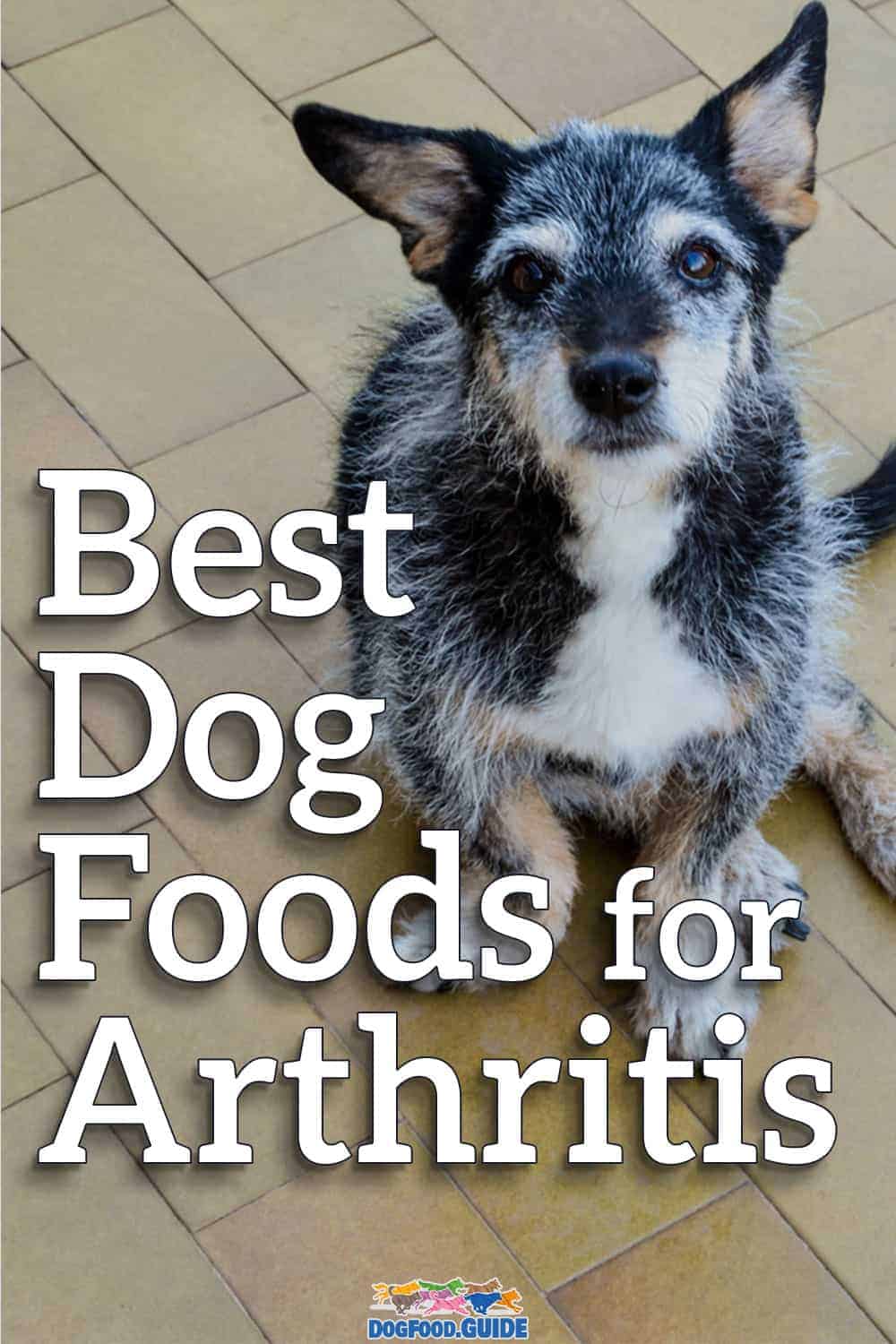 2022 Best Dog Food for Arthritis For Better Joint Health