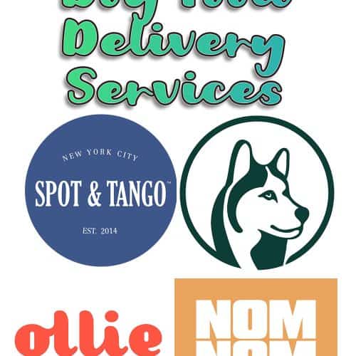 Now Fresh Dog Food Review 2022 The Freshest Option Today?