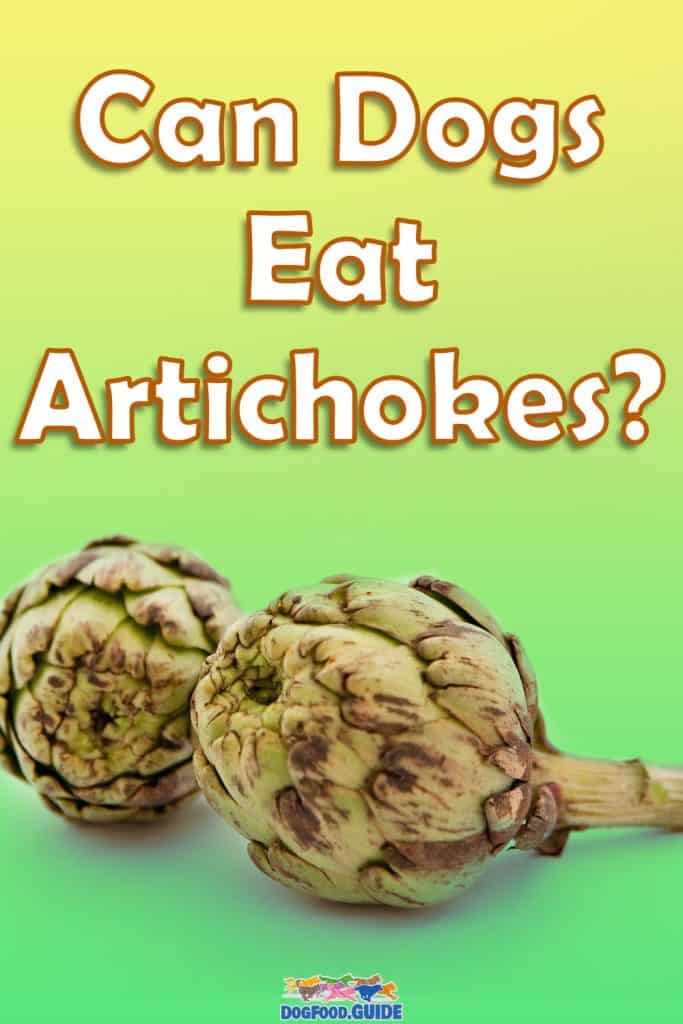 Can Dogs Eat Artichokes