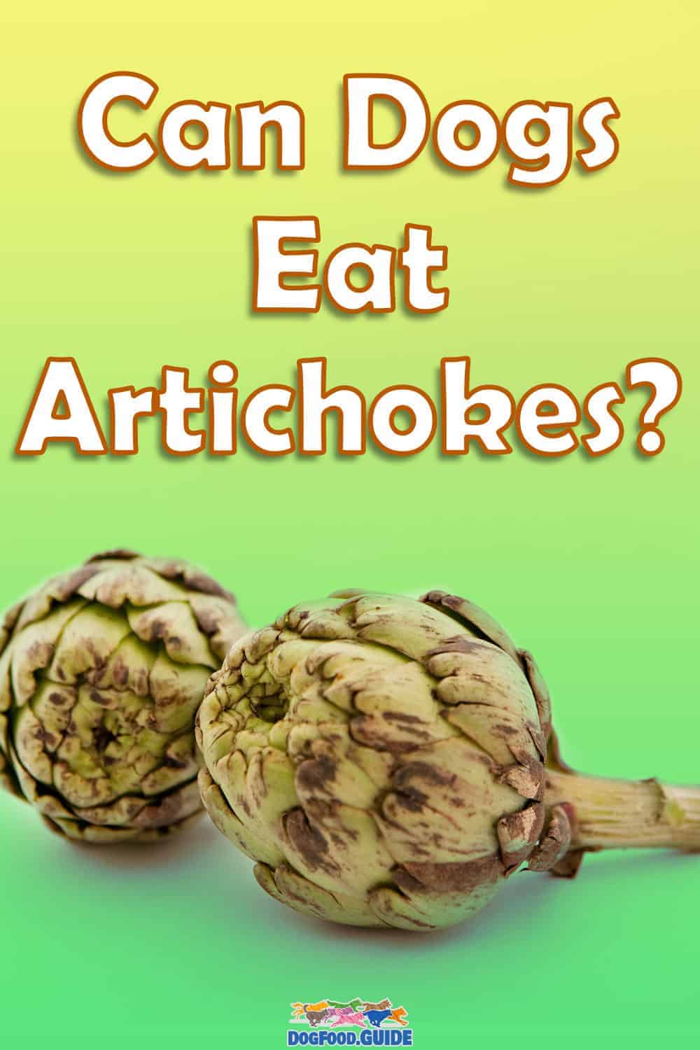 Can Dogs Eat Artichokes? 5 Amazing Benefits of Artichokes Revealed