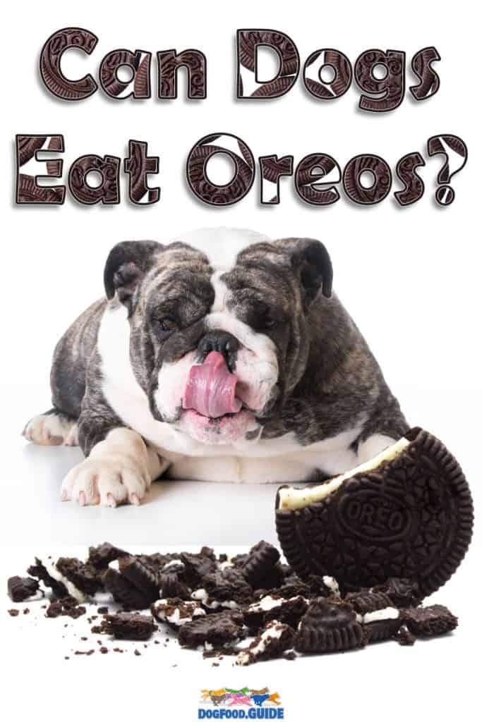 Can Dogs Eat Oreos