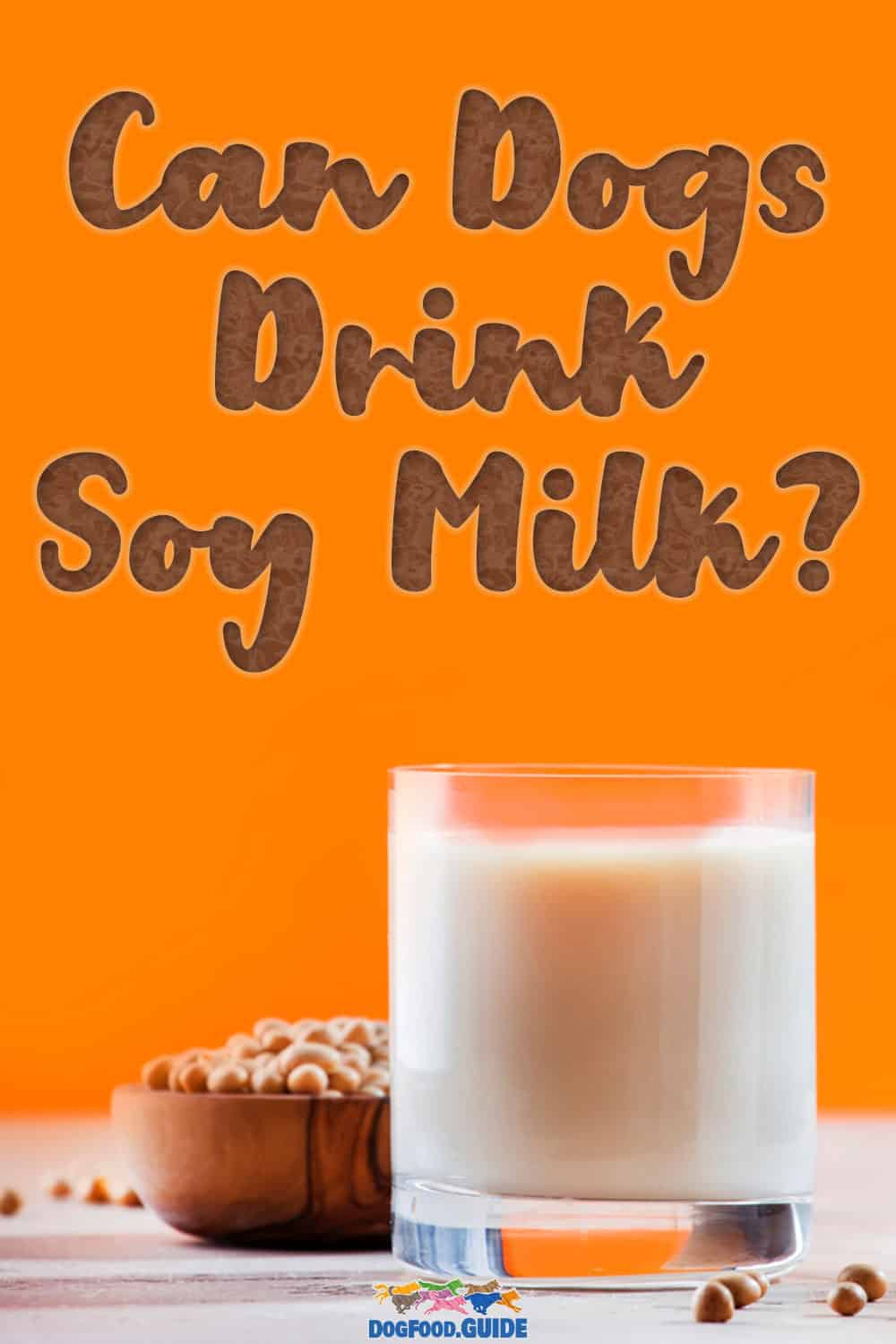 Can Dogs Drink Soy Milk? 5 Alarming Possible Effects Revealed
