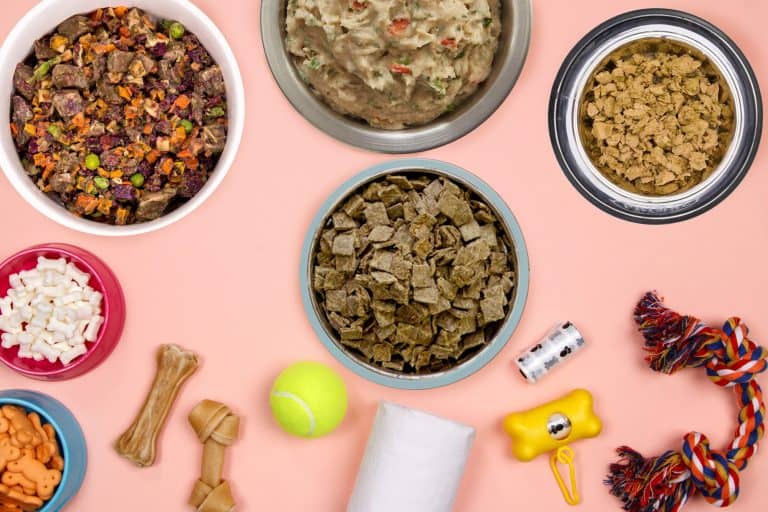 Get to Know The 9 Best Dehydrated Dog Food Brands 2022 Reviews