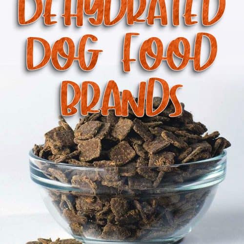 5 Most Popular Dehydrated Dog Food Is It The Best Option?