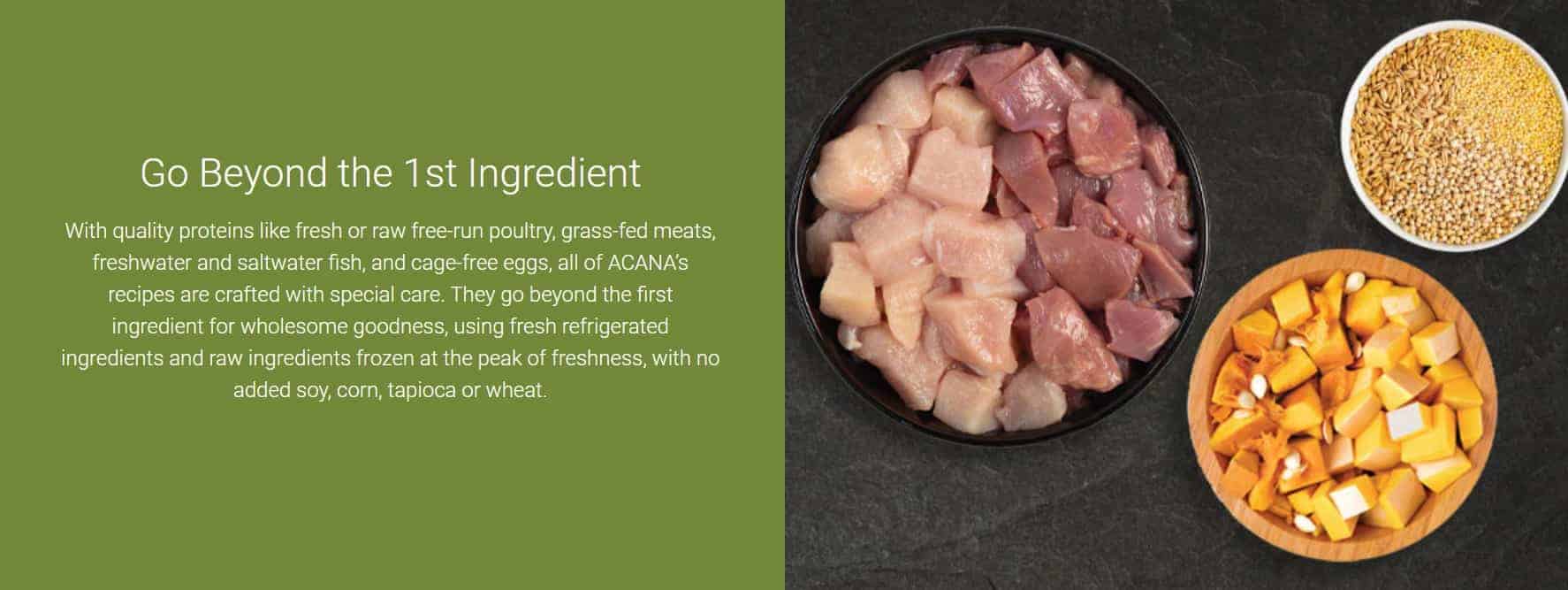 2022 Best Dog Food with Grain Healthy Meals With Ancient Grains